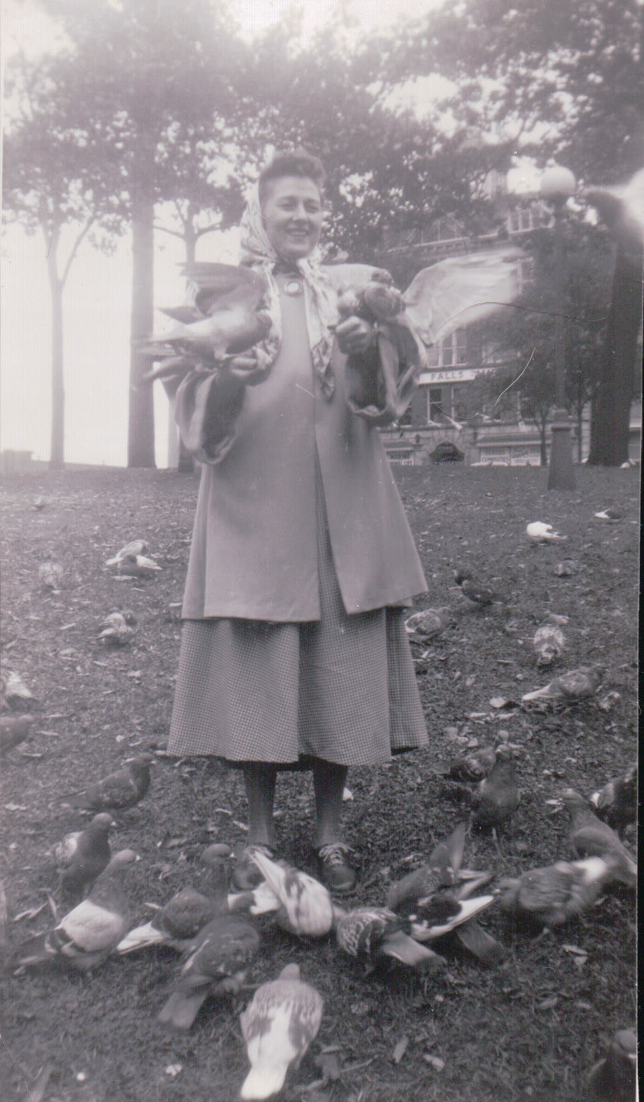 288.JPG  by Terry Kelly Photography