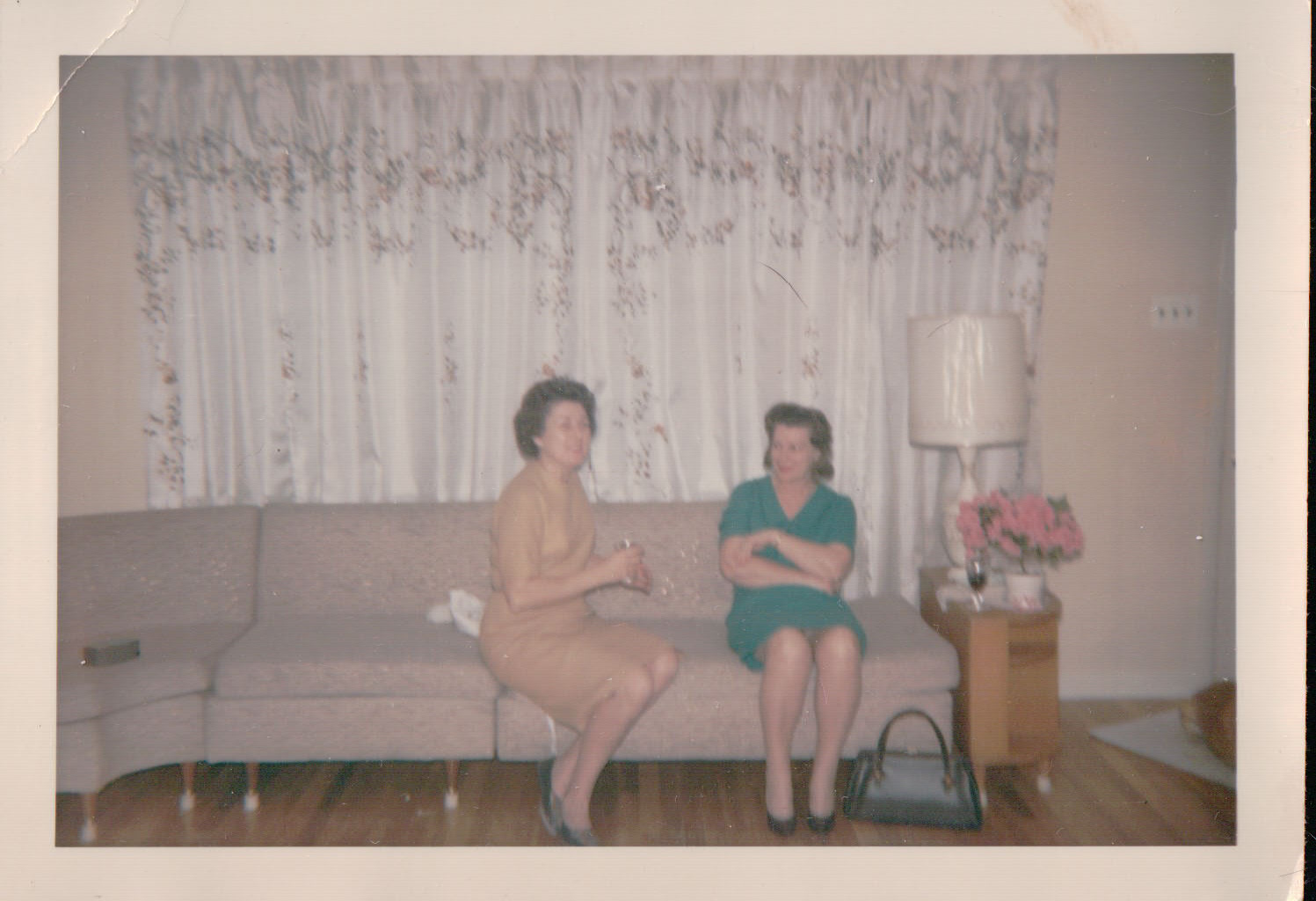 150.JPG  by Terry Kelly Photography