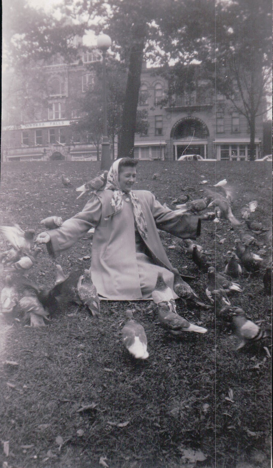 289.JPG  by Terry Kelly Photography