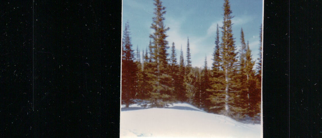 437.JPG  by Terry Kelly Photography