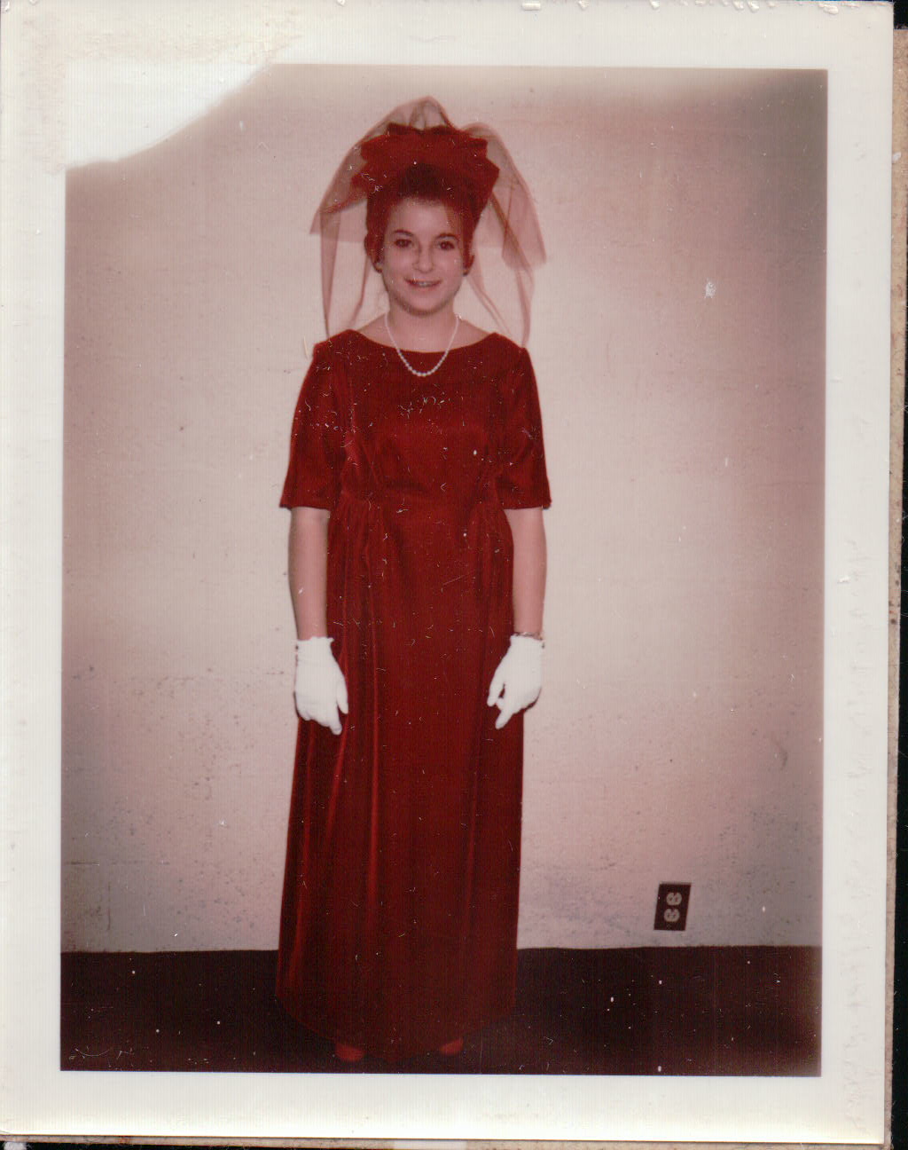 464.JPG  by Terry Kelly Photography