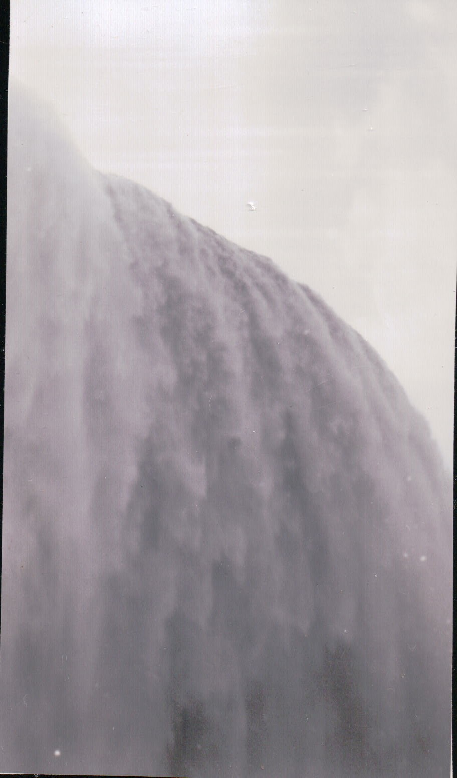 294.JPG  by Terry Kelly Photography