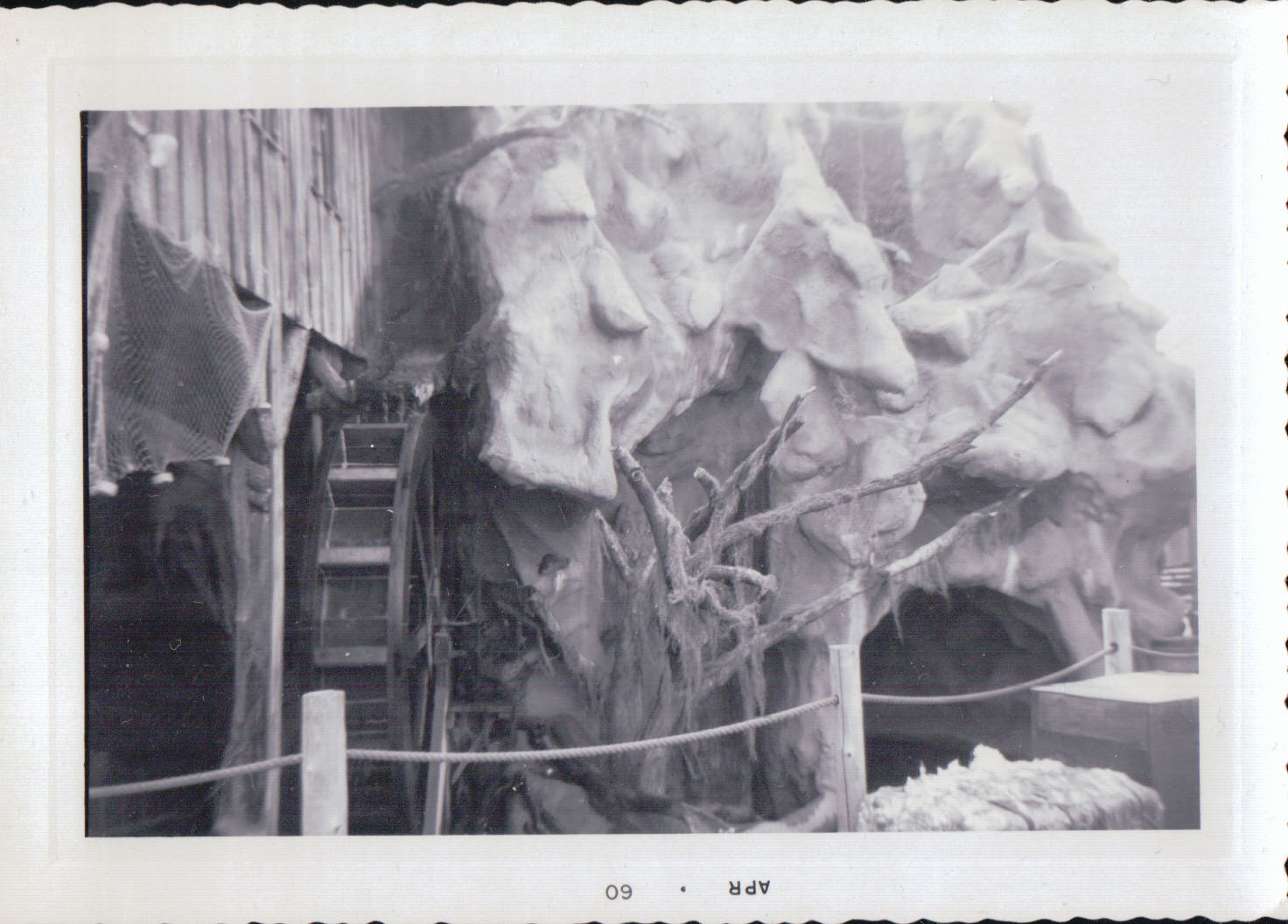 931.JPG  by Terry Kelly Photography