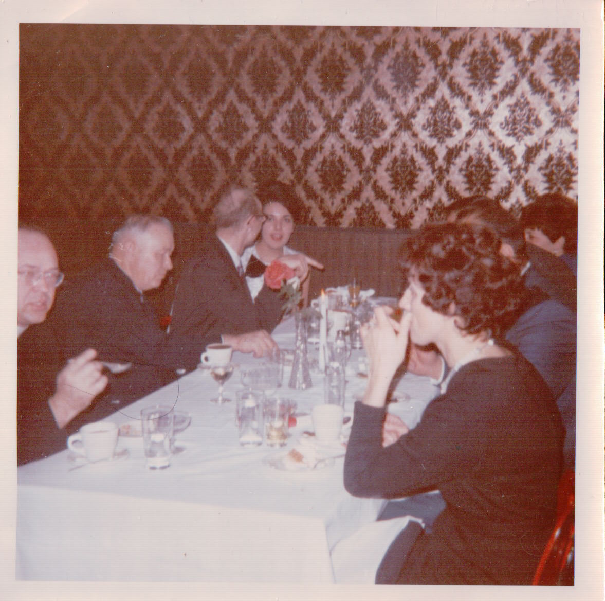 1202.JPG  by Terry Kelly Photography