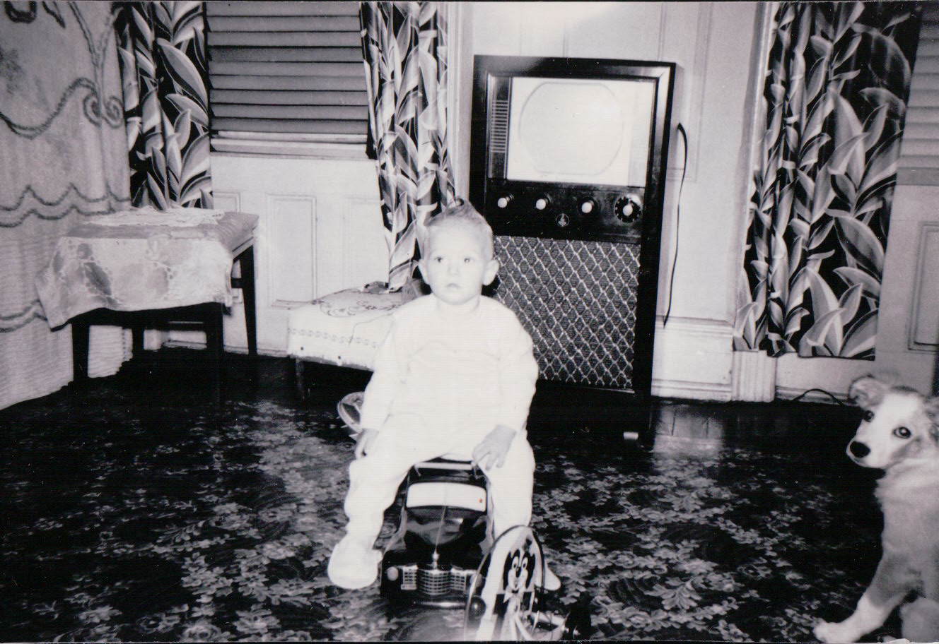 566.JPG  by Terry Kelly Photography