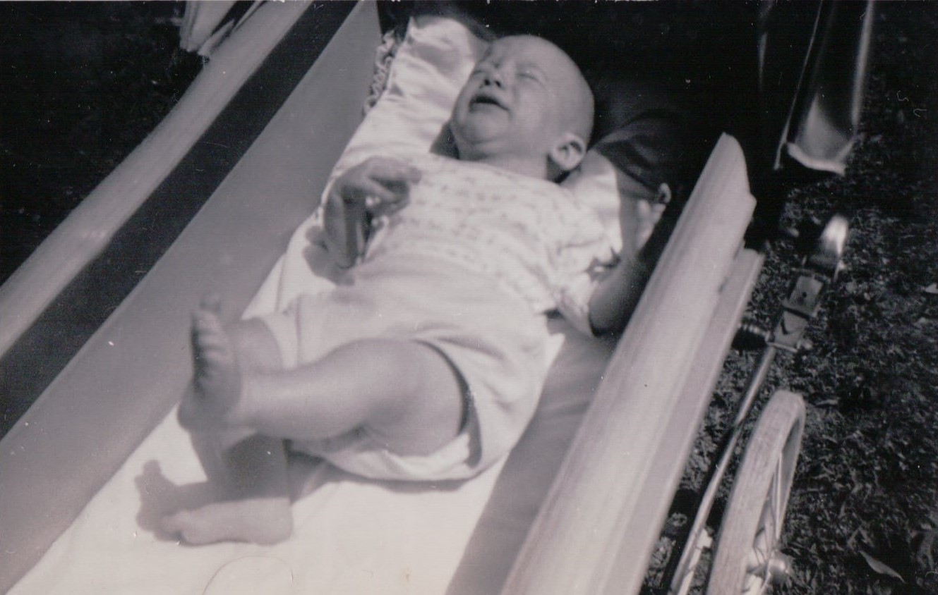 277.JPG  by Terry Kelly Photography