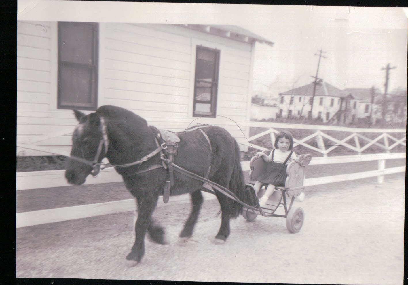 257.JPG  by Terry Kelly Photography