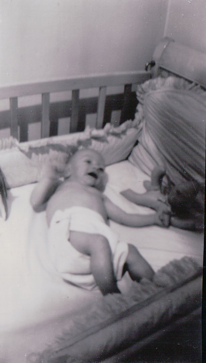 1102.JPG  by Terry Kelly Photography