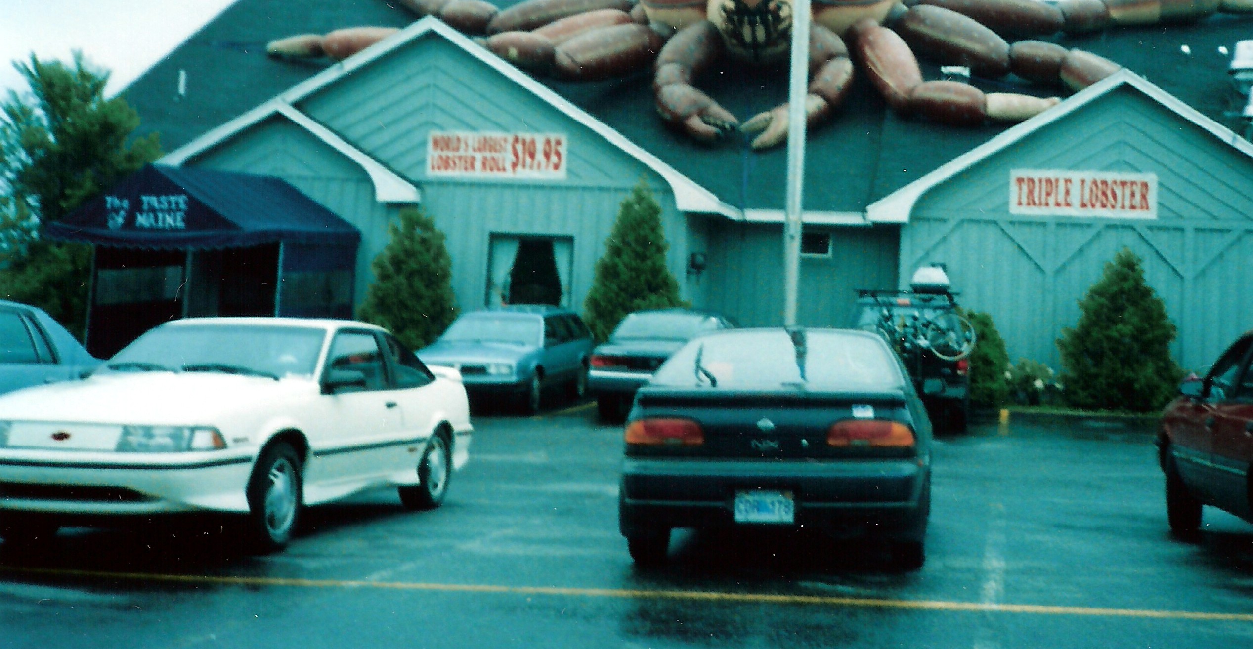 Giant Lobster.jpg  by Terry Kelly Photography