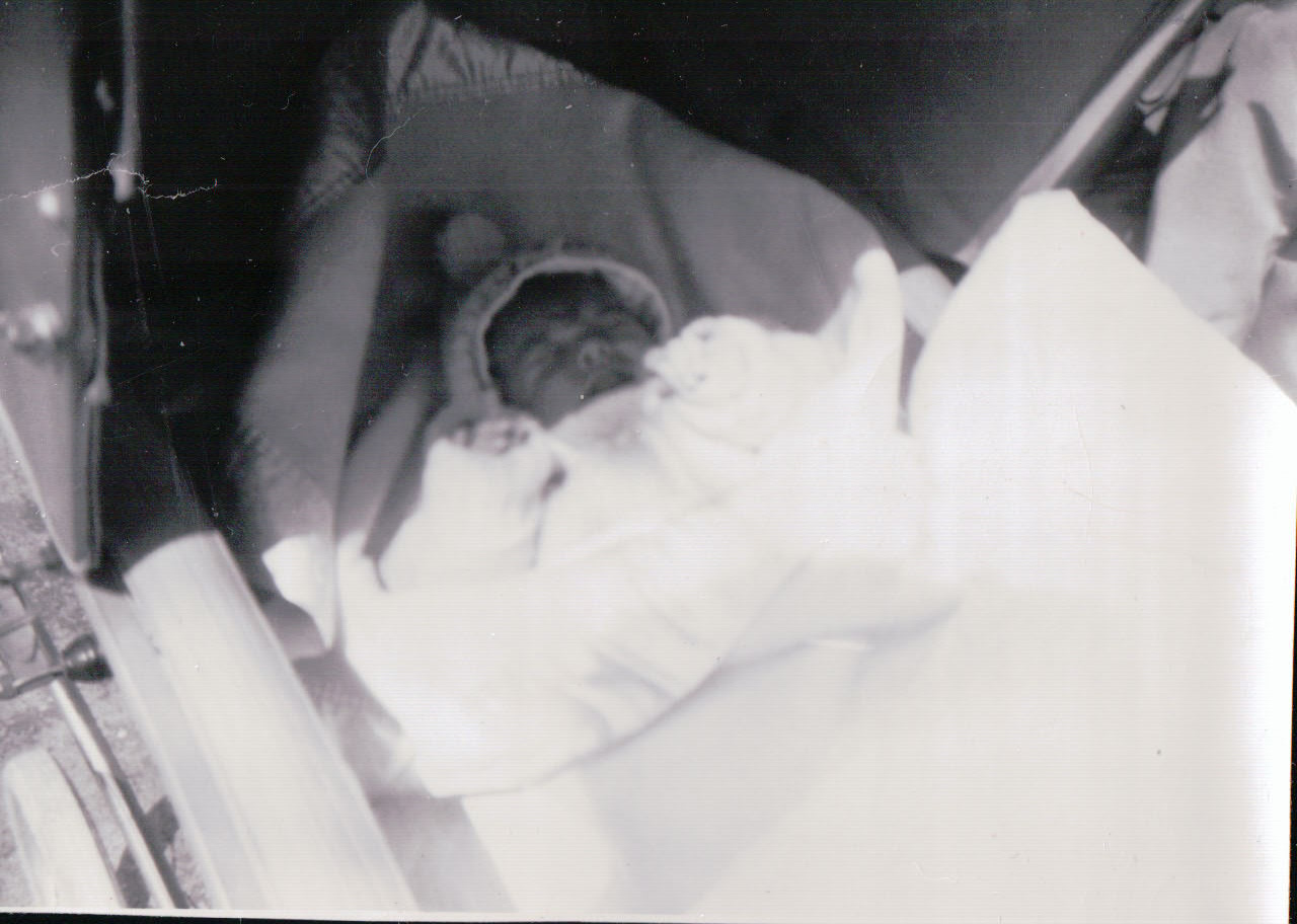 244.JPG  by Terry Kelly Photography