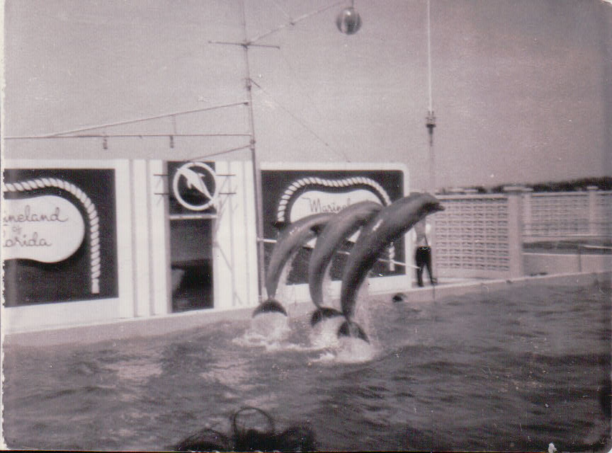 177.JPG  by Terry Kelly Photography