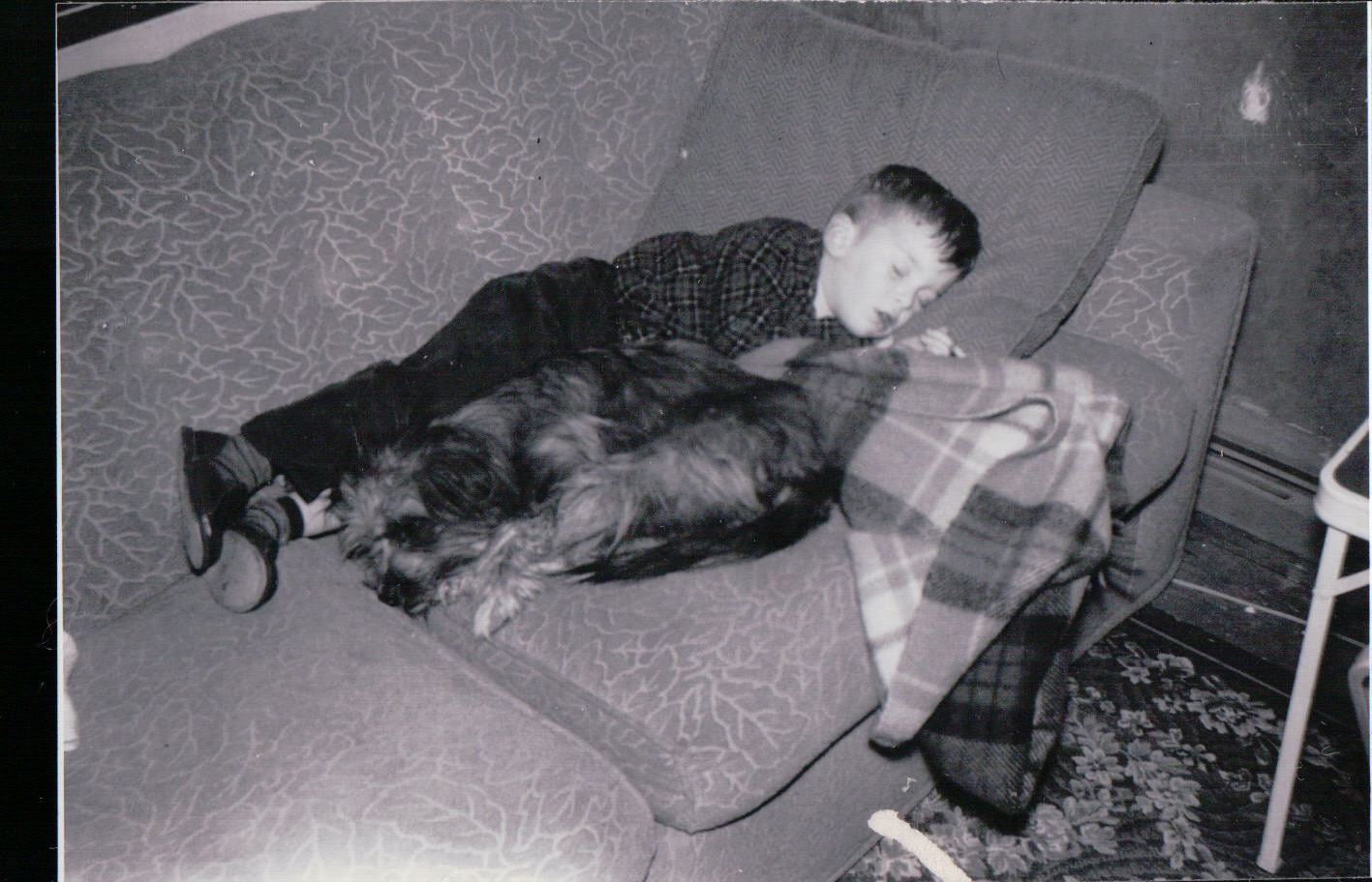 274.JPG  by Terry Kelly Photography