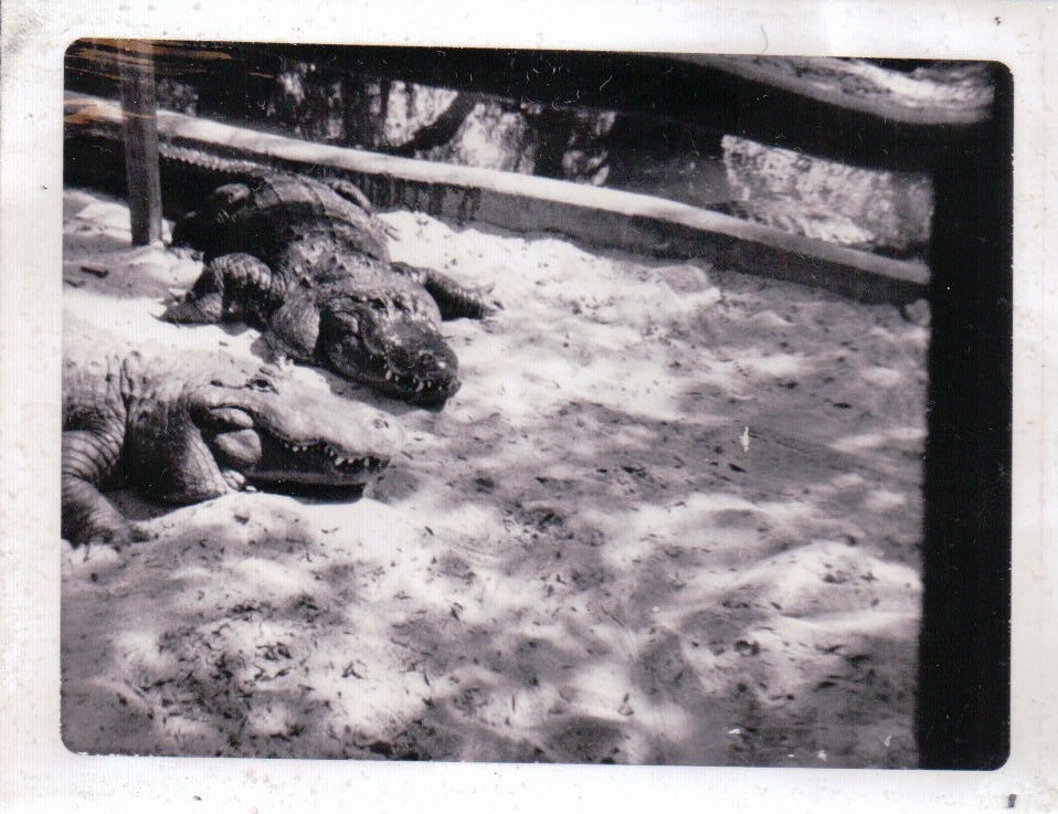 391.JPG  by Terry Kelly Photography