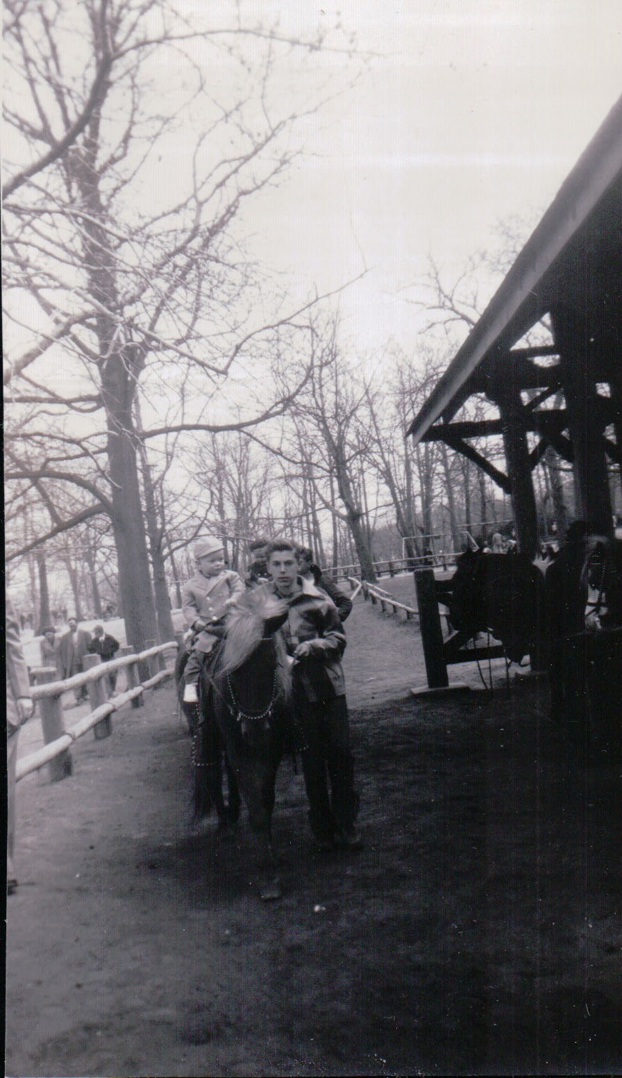 1124.JPG  by Terry Kelly Photography