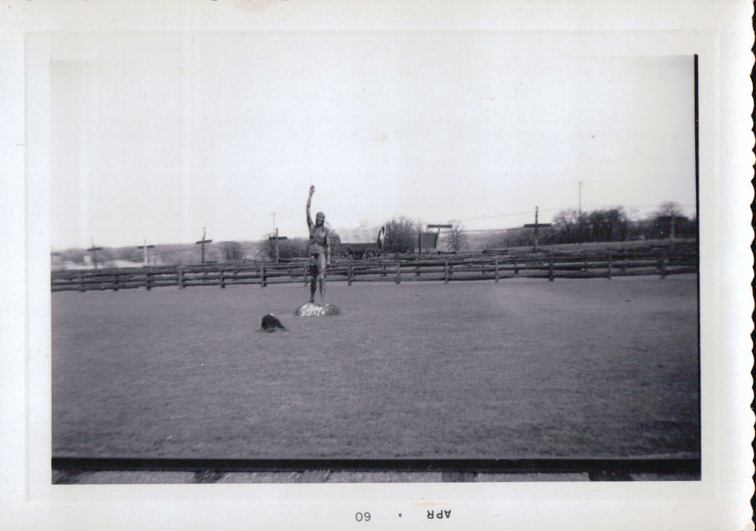 956.JPG  by Terry Kelly Photography