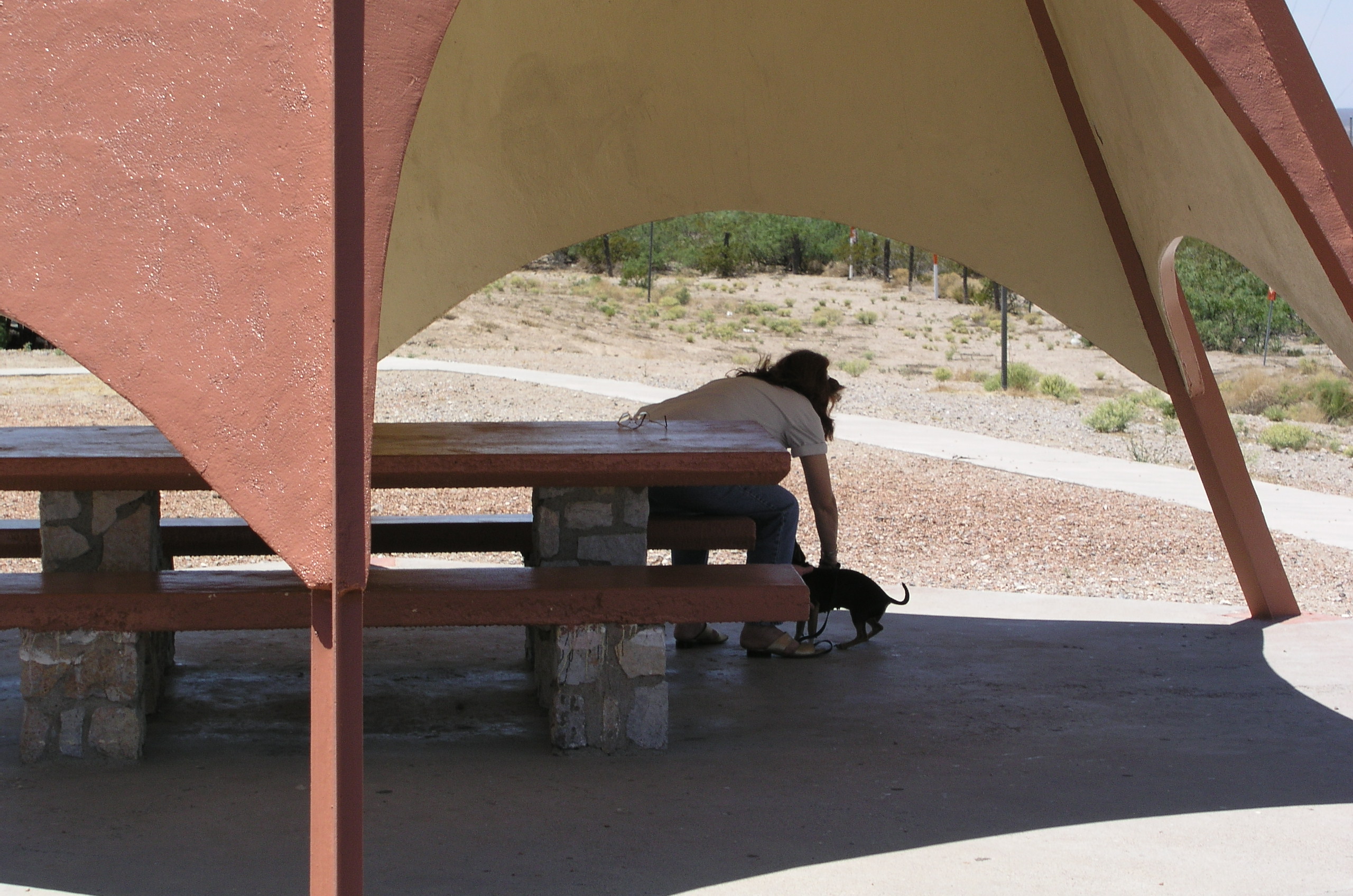 P1010001.JPG  by Terry Kelly Photography