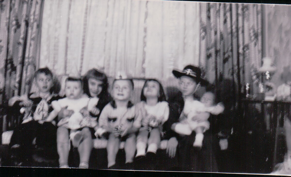 1130.JPG  by Terry Kelly Photography