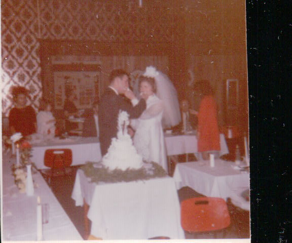 337.JPG  by Terry Kelly Photography