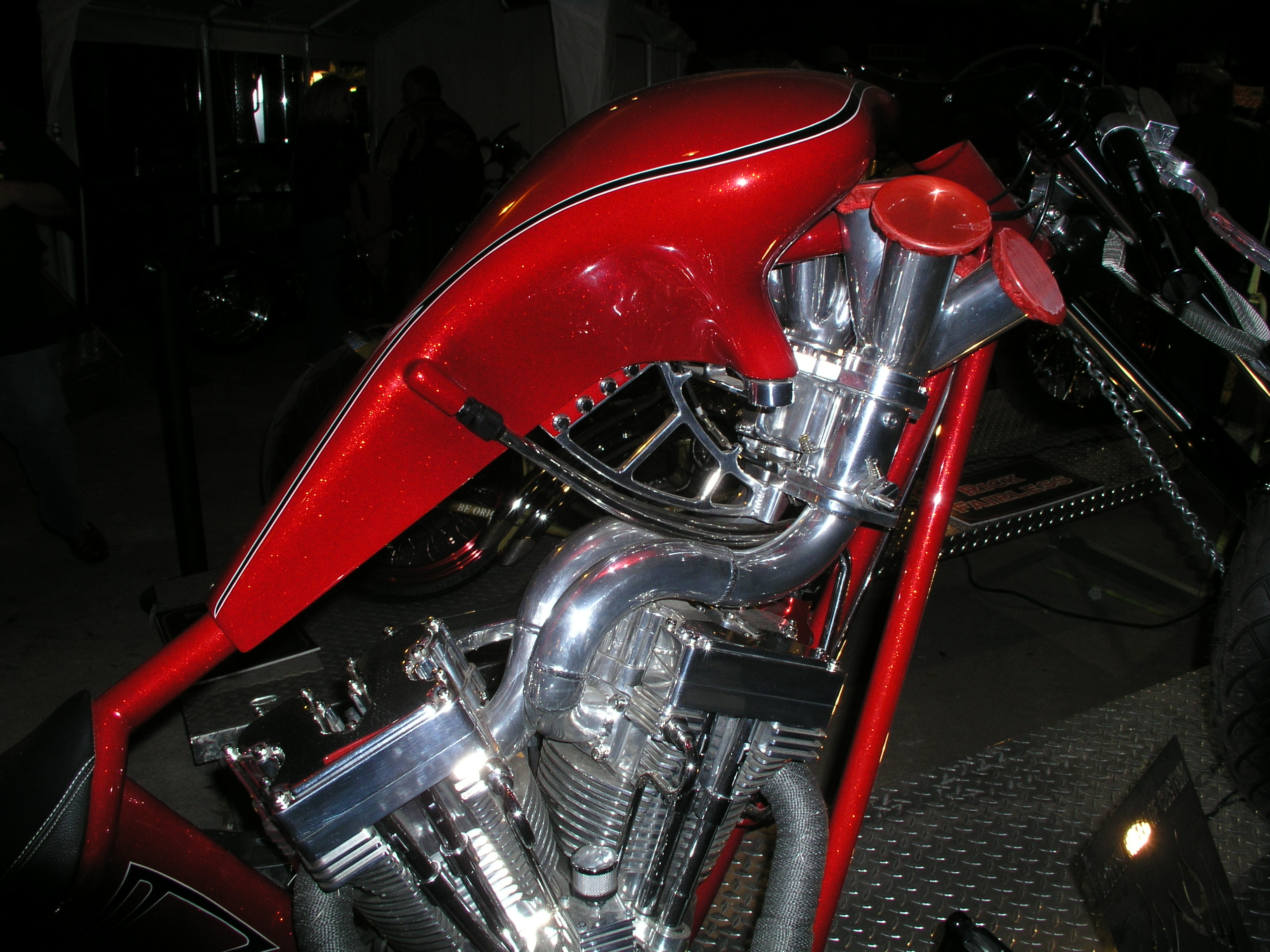 OLYMPUS DIGITAL CAMERA          OLYMPUS DIGITAL CAMERA          by Terry Kelly Photography