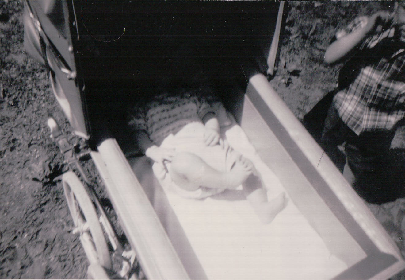 276.JPG  by Terry Kelly Photography