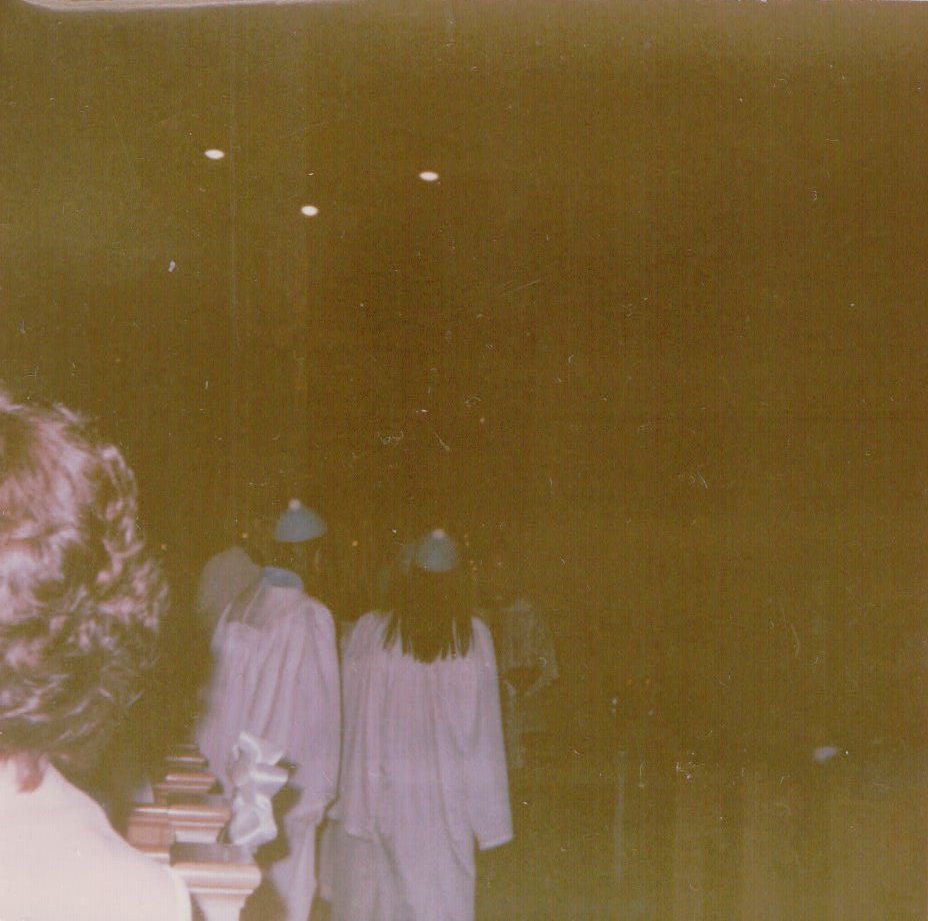 380.JPG  by Terry Kelly Photography