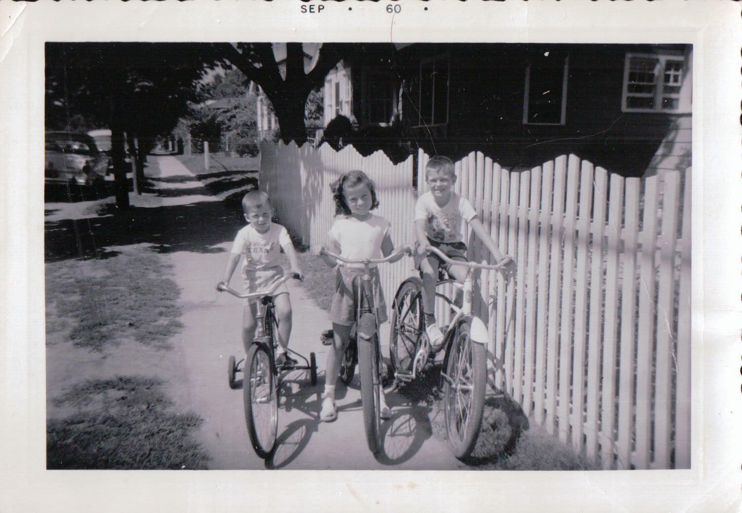 207.JPG  by Terry Kelly Photography