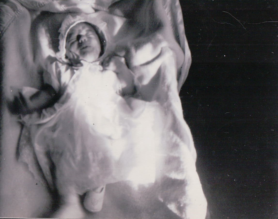 246.JPG  by Terry Kelly Photography