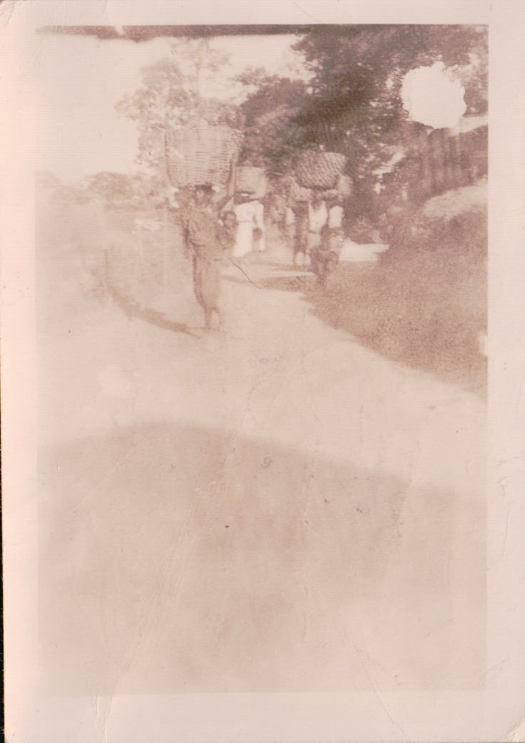 090.JPG  by Terry Kelly Photography