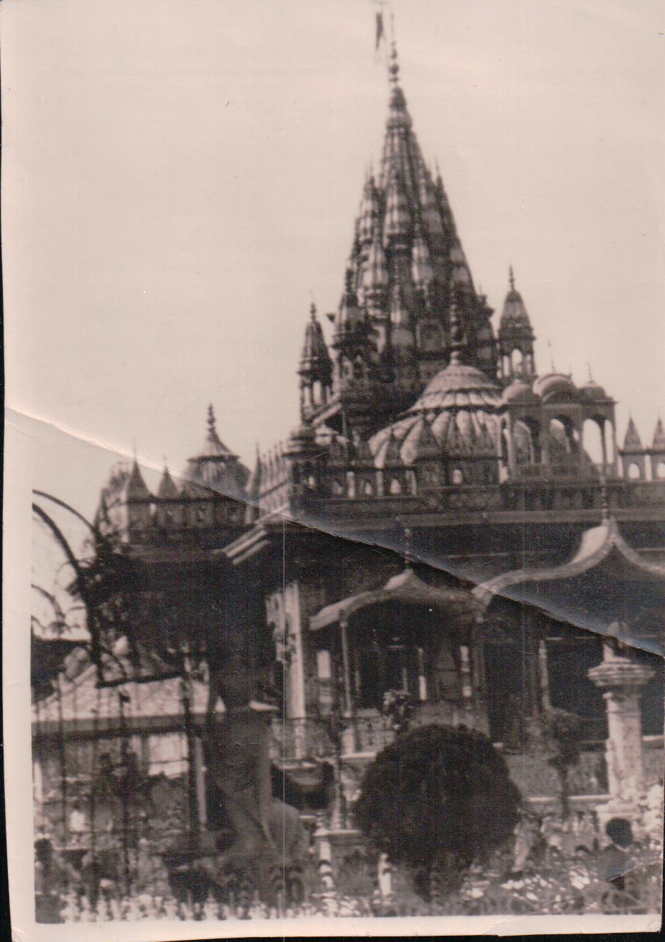 1266.JPG  by Terry Kelly Photography