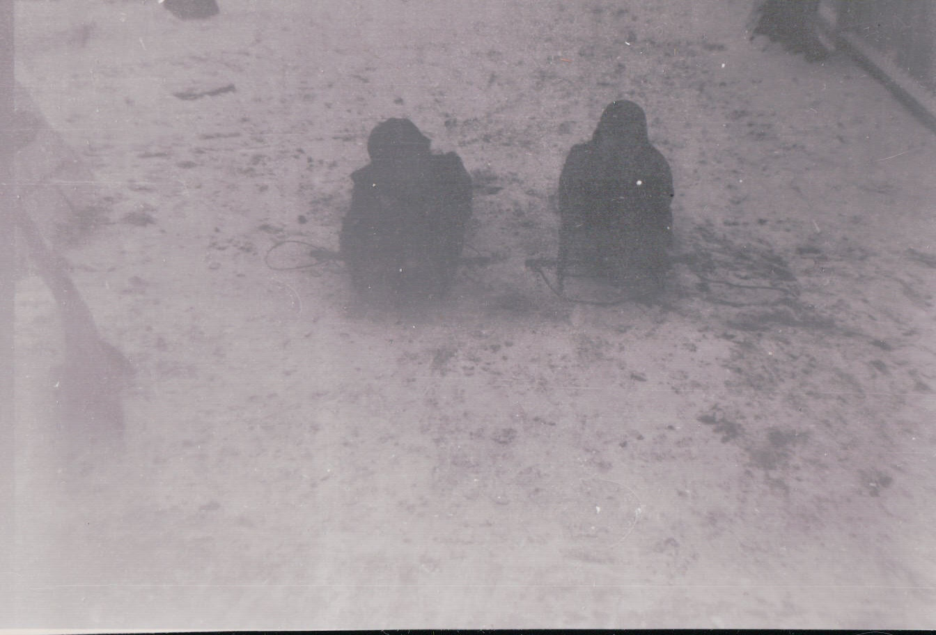 220.JPG  by Terry Kelly Photography