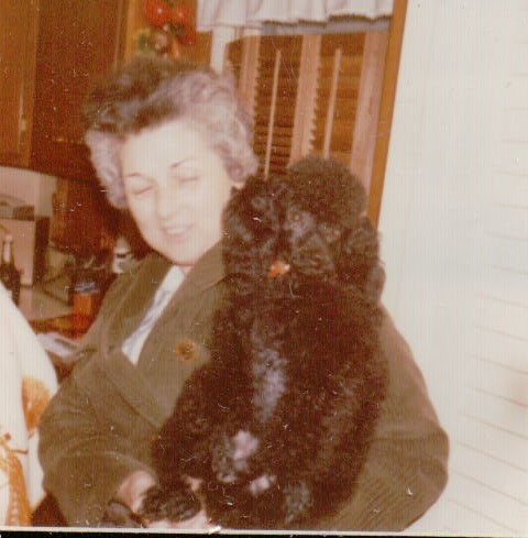 459.JPG  by Terry Kelly Photography