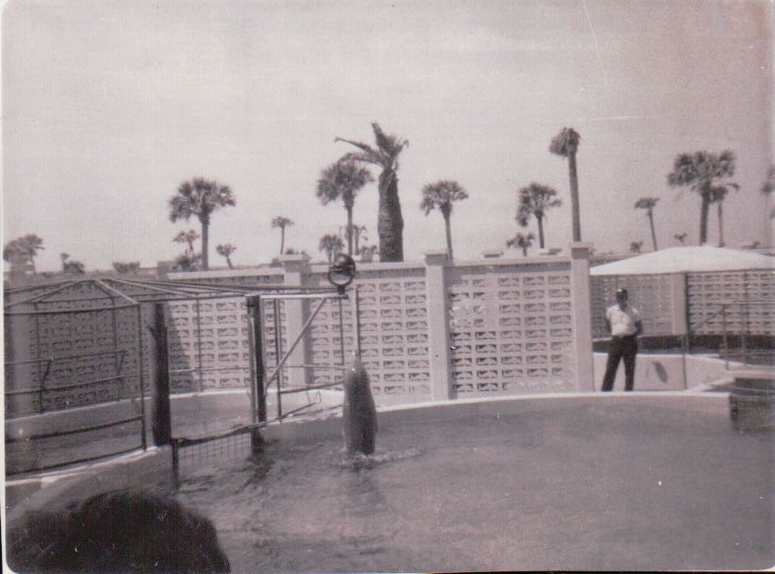 179.JPG  by Terry Kelly Photography