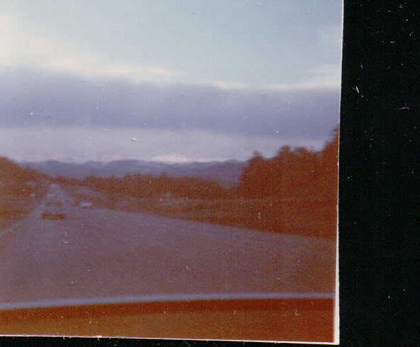 440.JPG  by Terry Kelly Photography