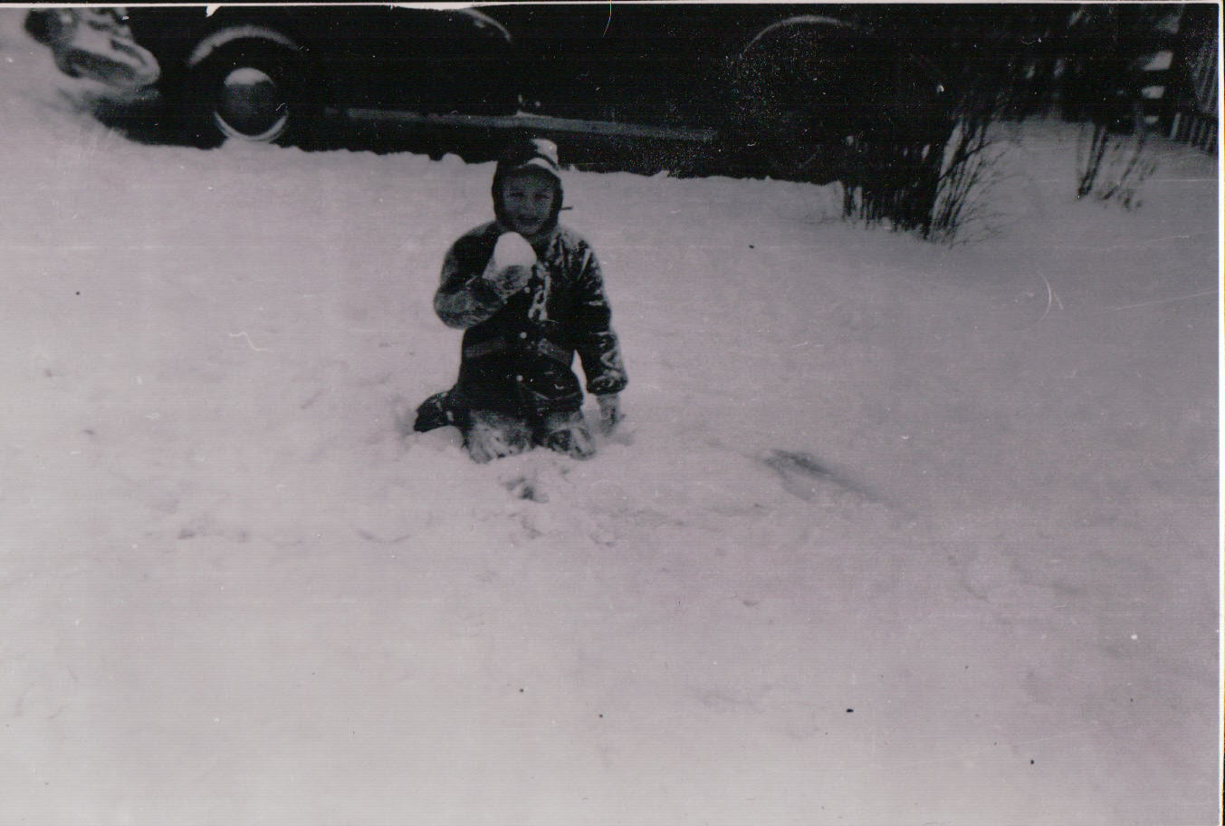 670.JPG  by Terry Kelly Photography