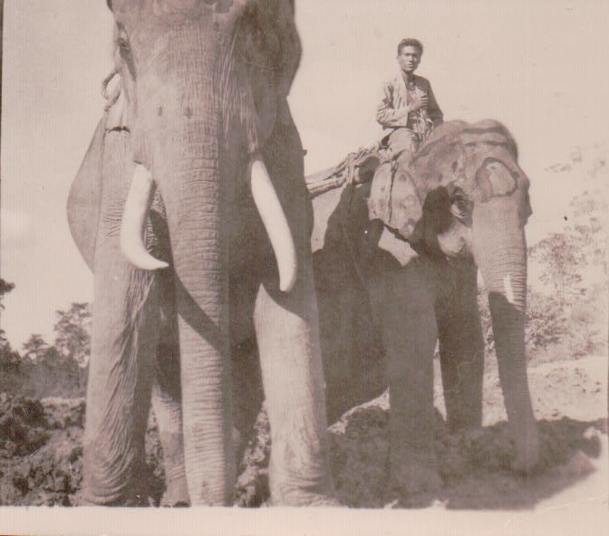 1265.JPG  by Terry Kelly Photography