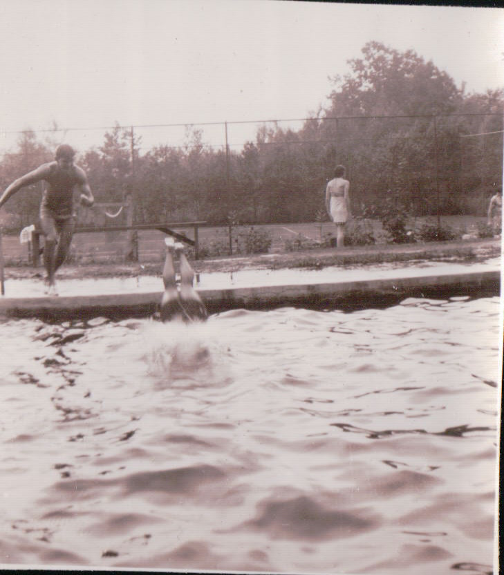 858.JPG  by Terry Kelly Photography