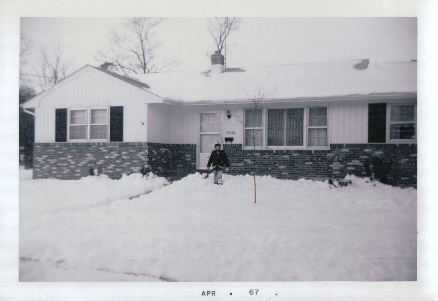 993 - Copy.JPG  by Terry Kelly Photography