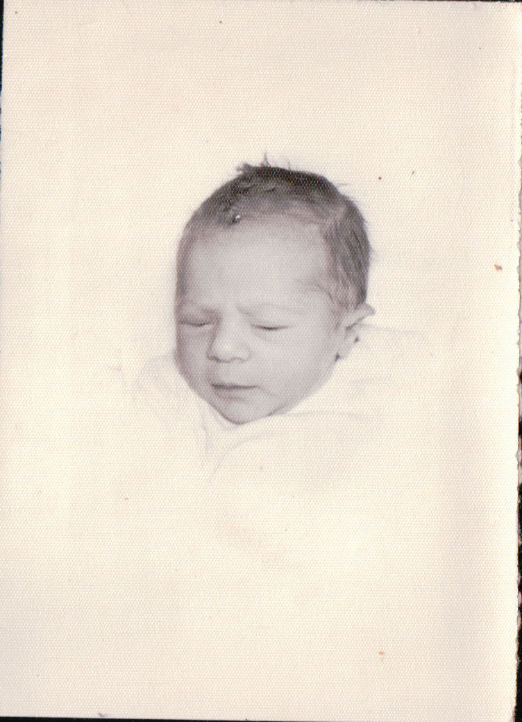 198.JPG  by Terry Kelly Photography