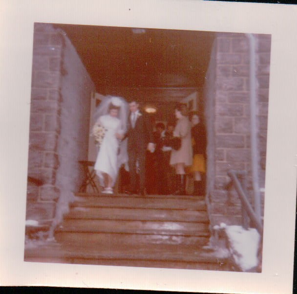 368.JPG  by Terry Kelly Photography