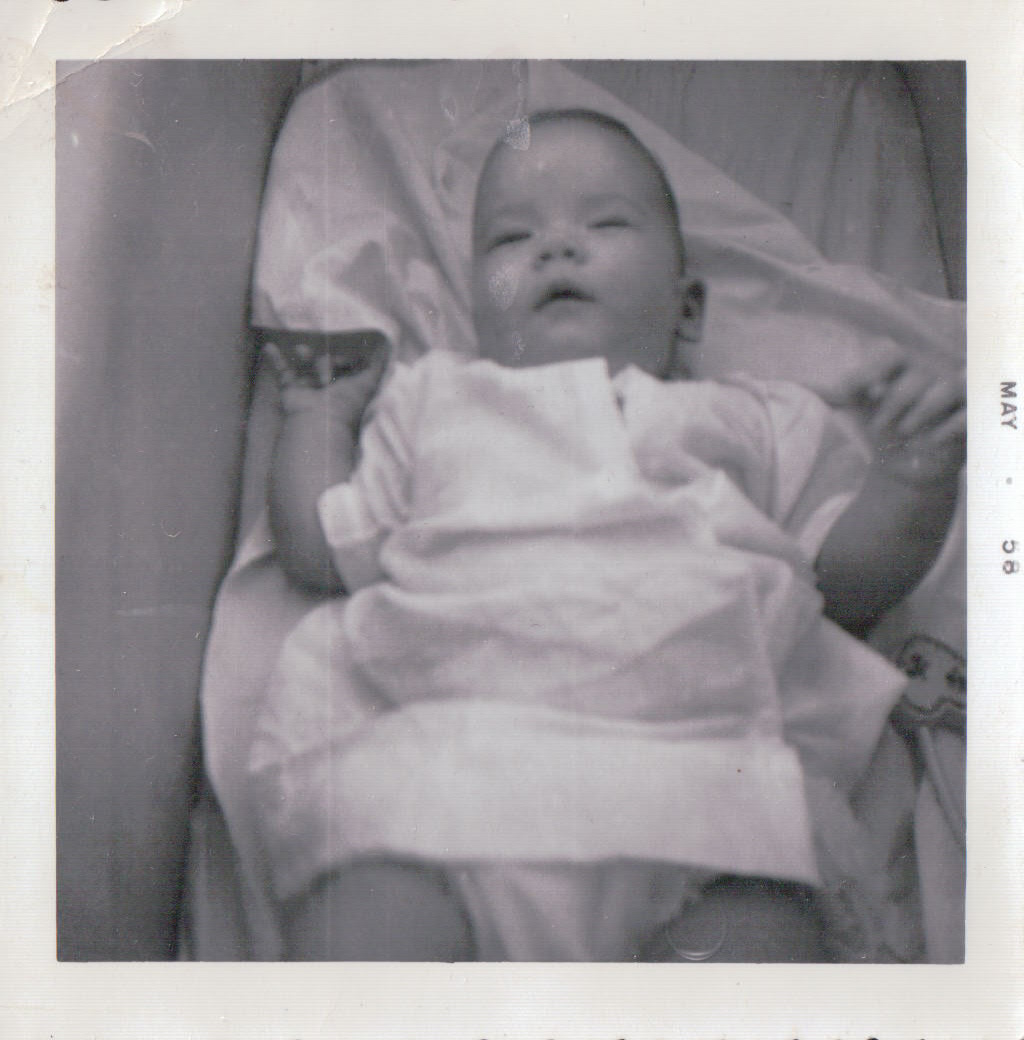 1003.JPG  by Terry Kelly Photography