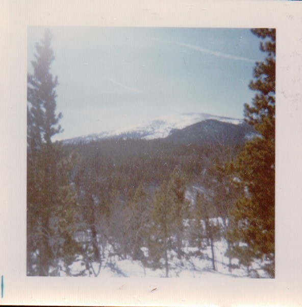 330.JPG  by Terry Kelly Photography