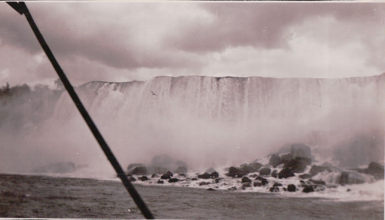 1306.JPG  by Terry Kelly Photography