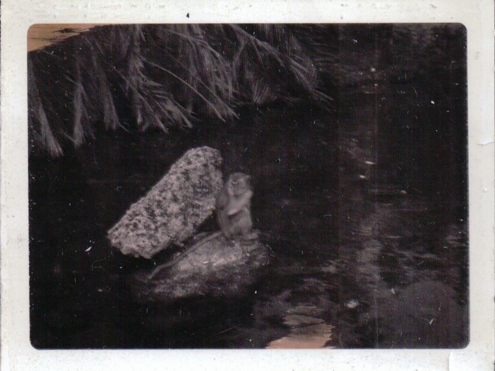 395.JPG  by Terry Kelly Photography