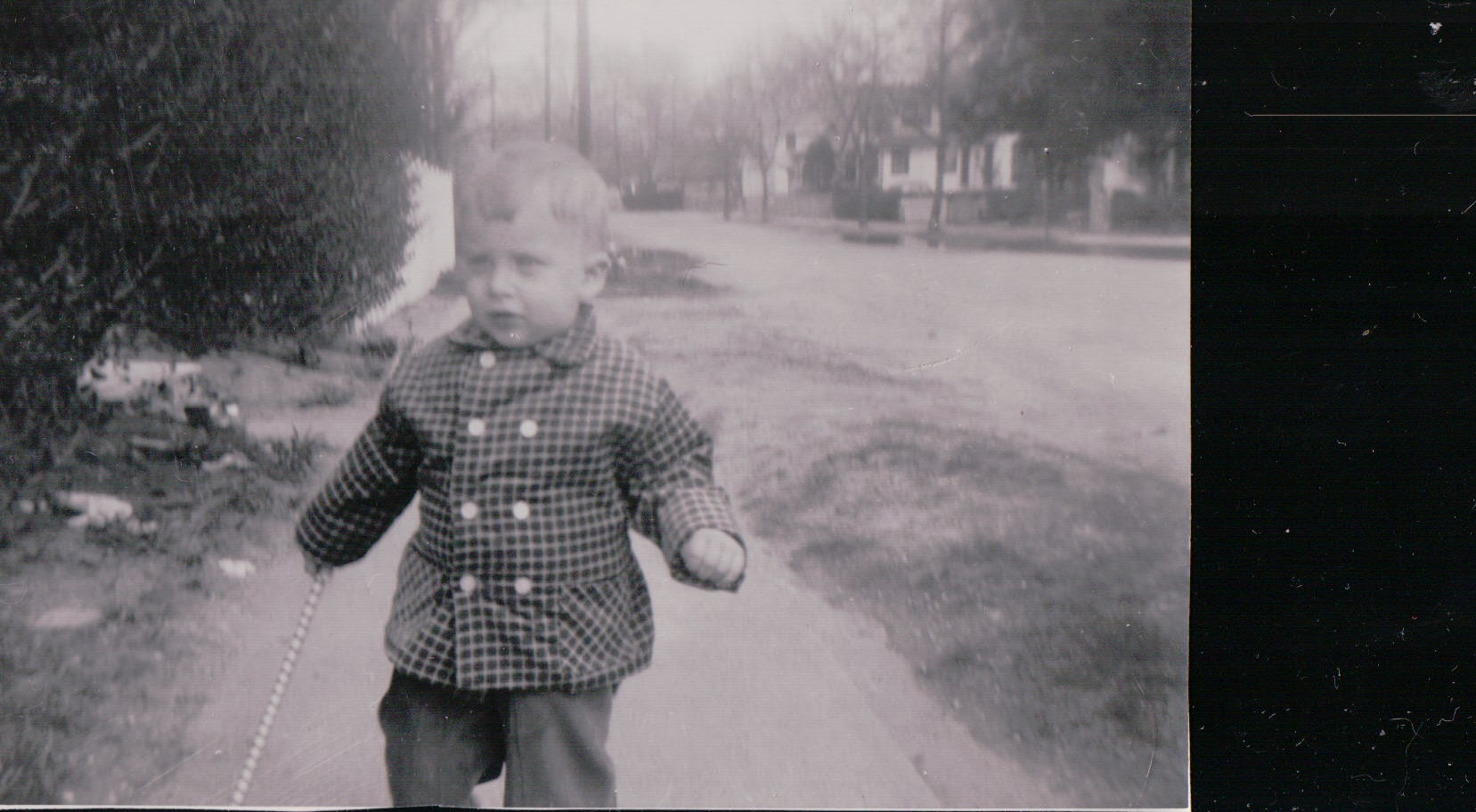 237.JPG  by Terry Kelly Photography