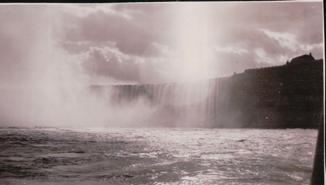 1302.JPG  by Terry Kelly Photography