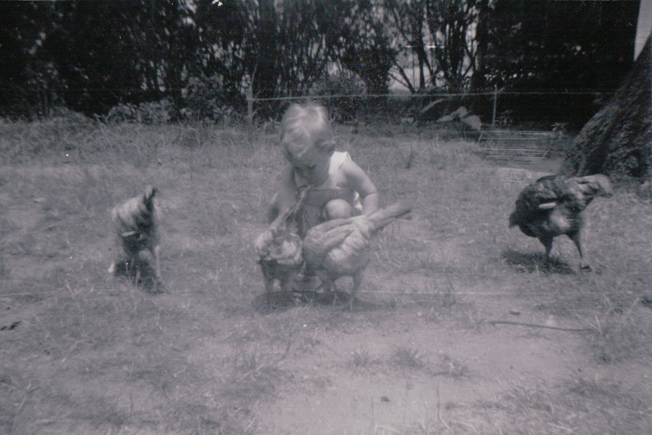 1211.JPG  by Terry Kelly Photography