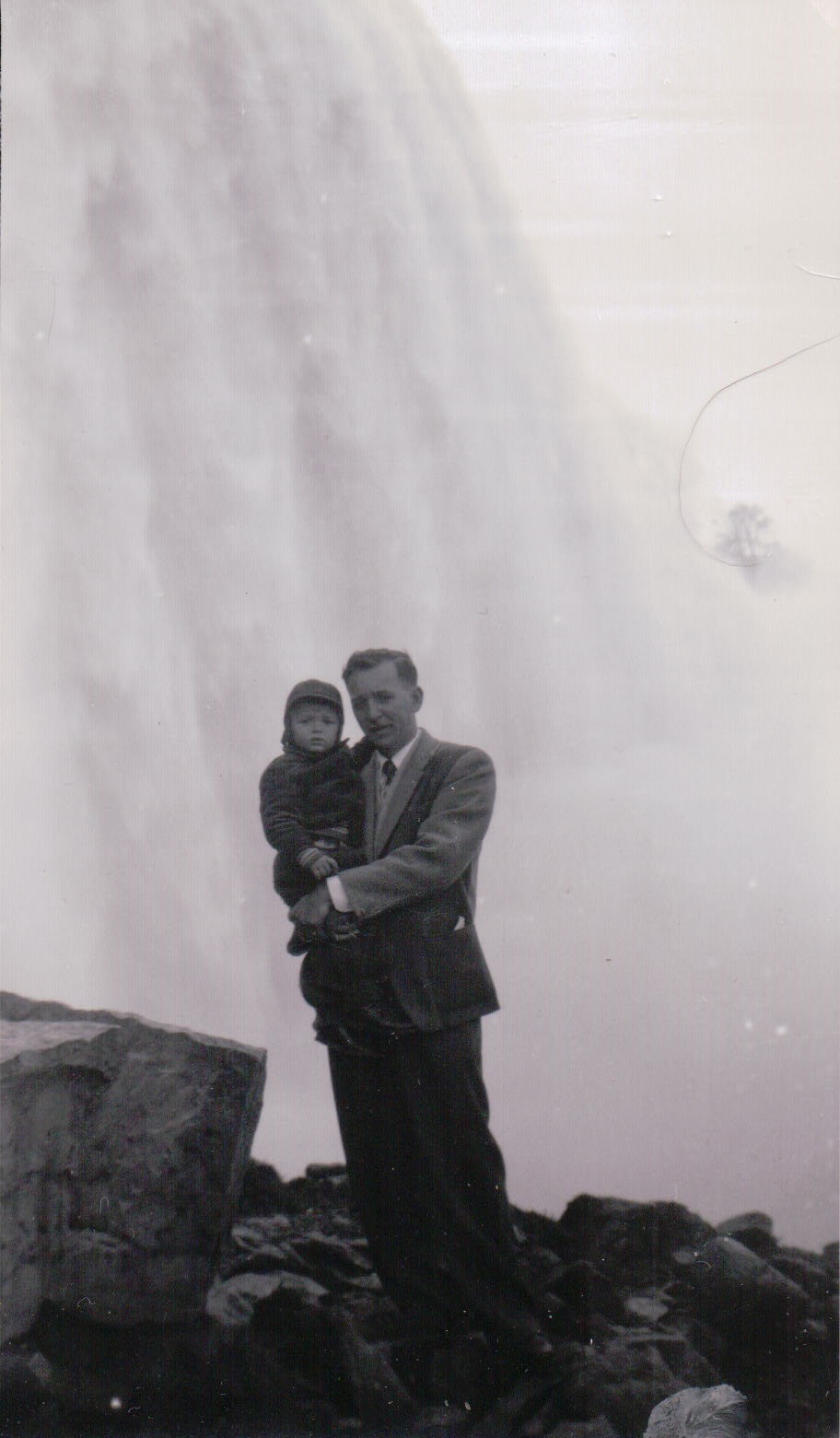 287.JPG  by Terry Kelly Photography