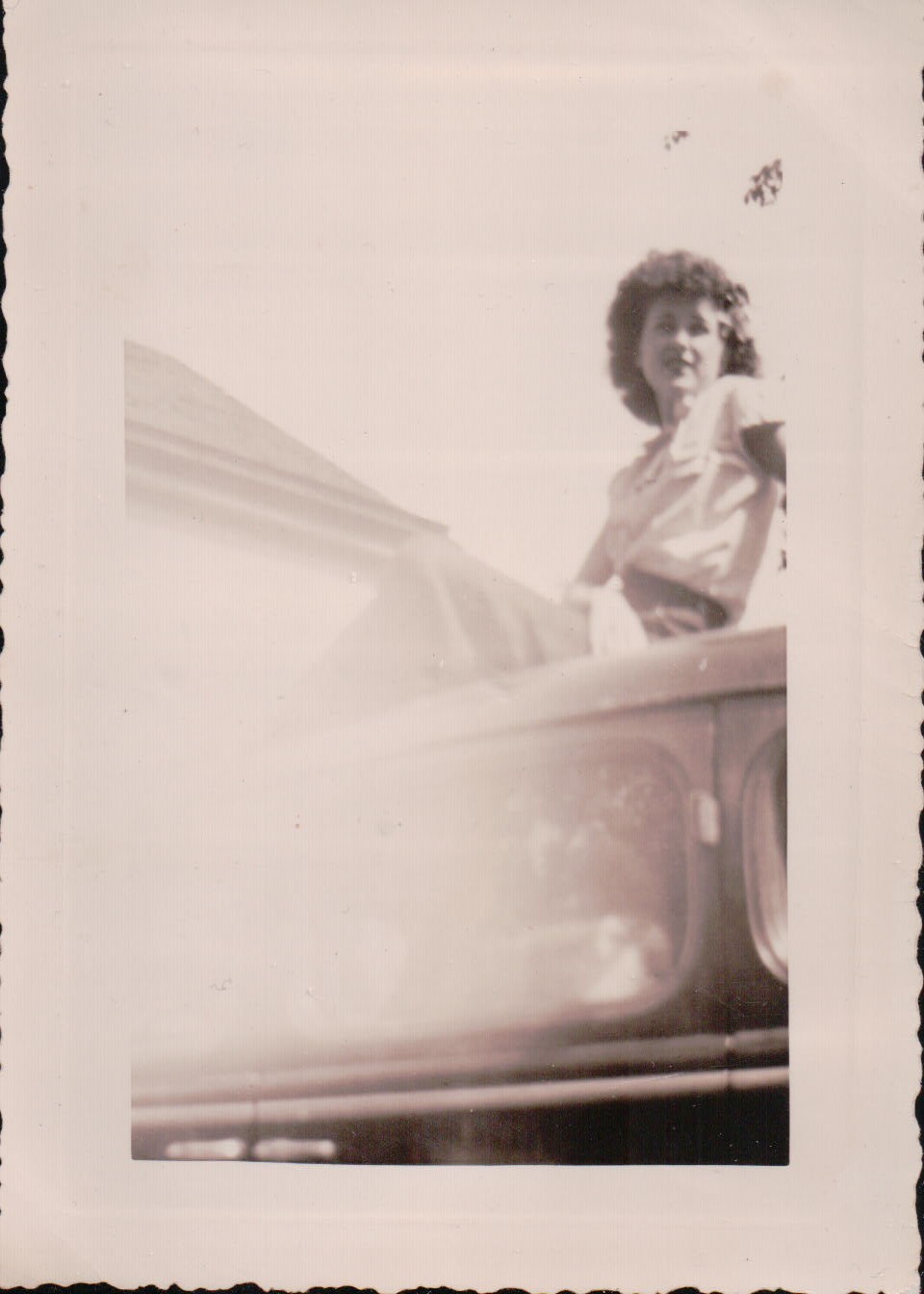 1323.JPG  by Terry Kelly Photography