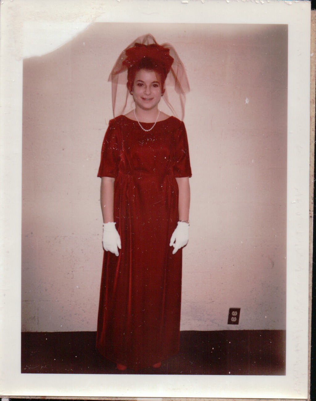 464.JPG  by Terry Kelly Photography