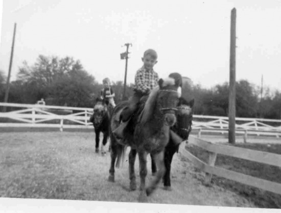 000023_345610e8532894270pyj10.jpg  by Terry Kelly Photography